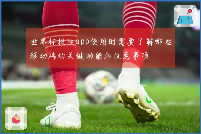 世界杯投注app使用时需要了解哪些移动端的关键功能和注意事项