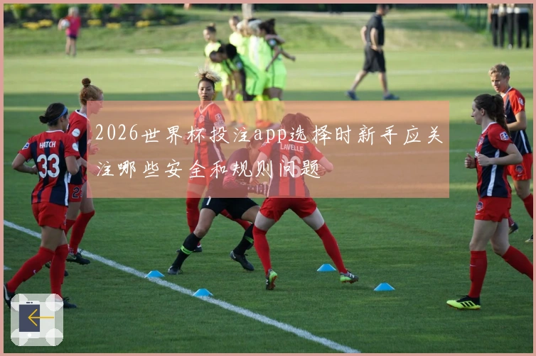 2026世界杯投注app选择时新手应关注哪些安全和规则问题