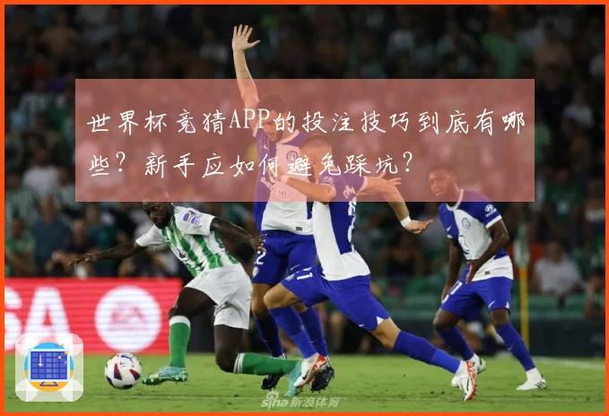 世界杯竞猜APP的投注技巧到底有哪些？新手应如何避免踩坑？