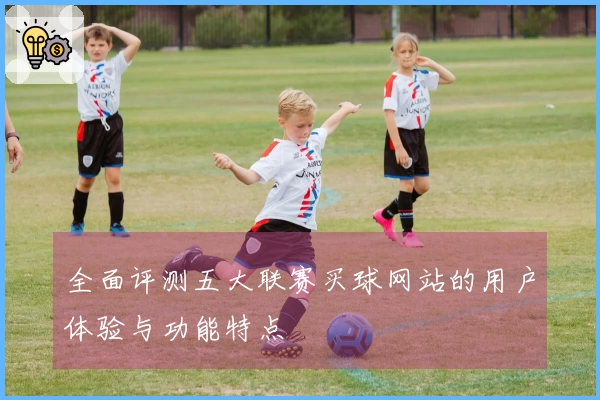 全面评测五大联赛买球网站的用户体验与功能特点