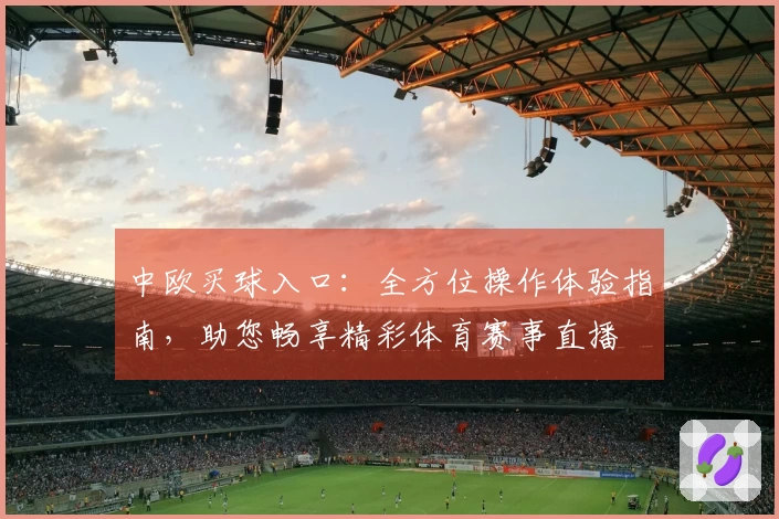 中欧买球入口：全方位操作体验指南，助您畅享精彩体育赛事直播