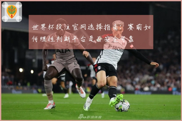 世界杯投注官网选择指南：赛前如何理性判断平台是否安全可靠