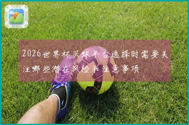 2026世界杯买球平台选择时需要关注哪些潜在风险和注意事项
