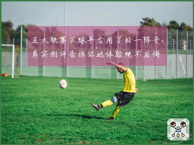 五大联赛买球平台用了好一阵子，真实测评告诉你这体验绝不后悔