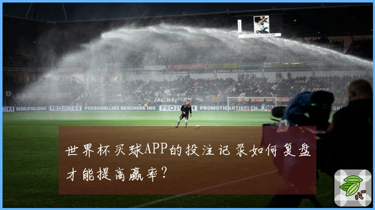 世界杯买球APP的投注记录如何复盘才能提高赢率？
