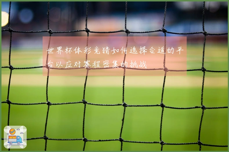 世界杯体彩竞猜如何选择合适的平台以应对赛程密集的挑战