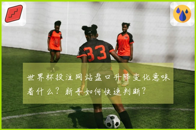 世界杯投注网站盘口升降变化意味着什么？新手如何快速判断？