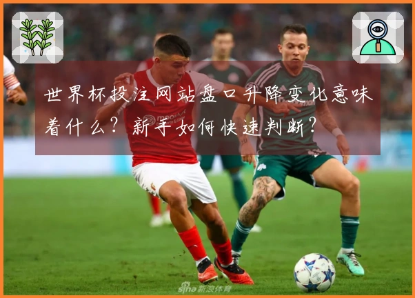 世界杯投注网站盘口升降变化意味着什么？新手如何快速判断？
