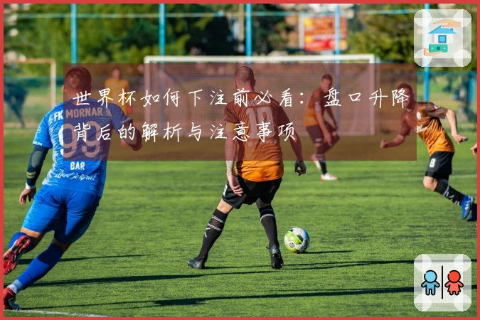 世界杯如何下注前必看：盘口升降背后的解析与注意事项