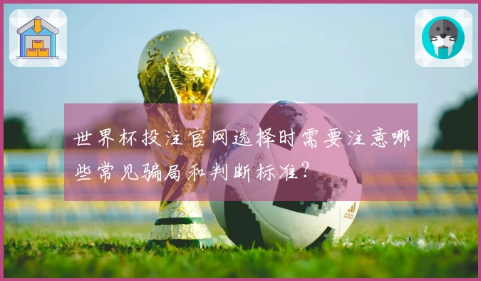 世界杯投注官网选择时需要注意哪些常见骗局和判断标准？