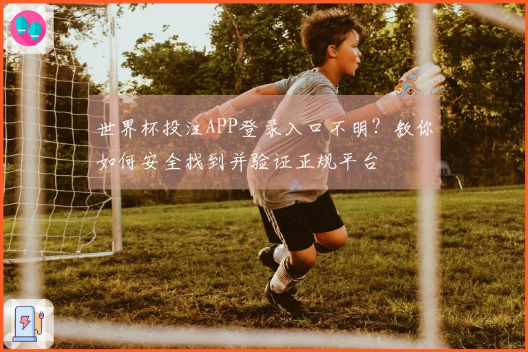 世界杯投注APP登录入口不明？教你如何安全找到并验证正规平台