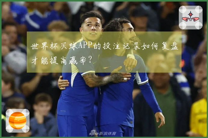 世界杯买球APP的投注记录如何复盘才能提高赢率？