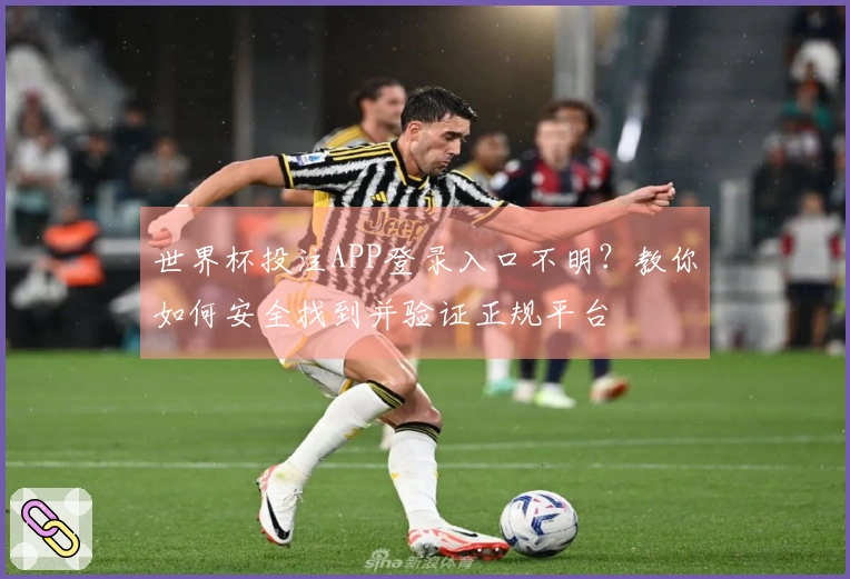 世界杯投注APP登录入口不明？教你如何安全找到并验证正规平台