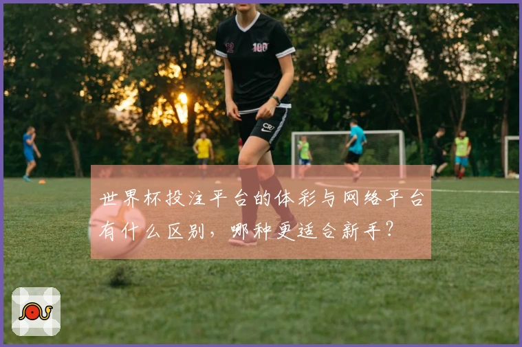 世界杯投注平台的体彩与网络平台有什么区别，哪种更适合新手？