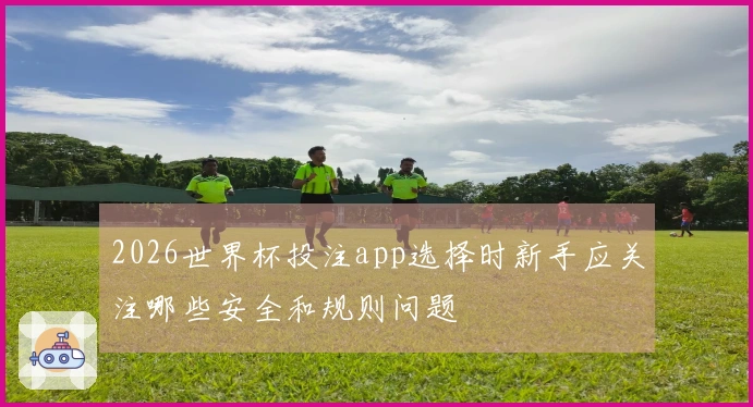 2026世界杯投注app选择时新手应关注哪些安全和规则问题