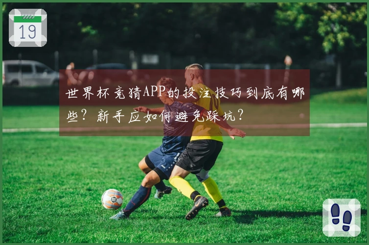 世界杯竞猜APP的投注技巧到底有哪些？新手应如何避免踩坑？