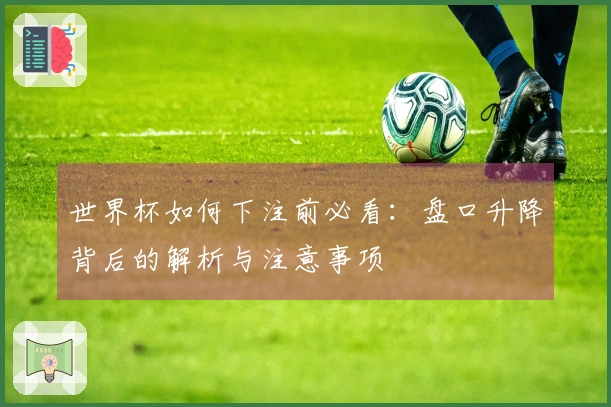 世界杯如何下注前必看：盘口升降背后的解析与注意事项