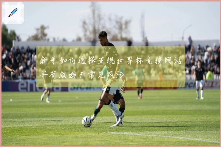 新手如何选择正规世界杯竞猜网站并有效避开常见风险