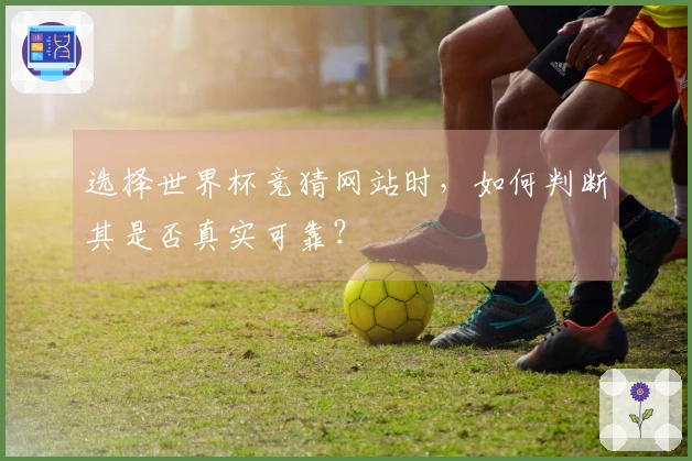 选择世界杯竞猜网站时，如何判断其是否真实可靠？