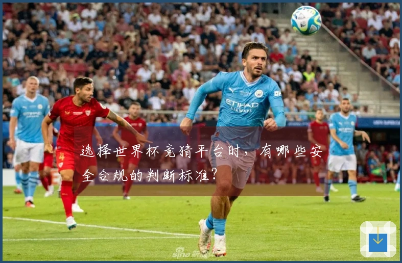 选择世界杯竞猜平台时，有哪些安全合规的判断标准？