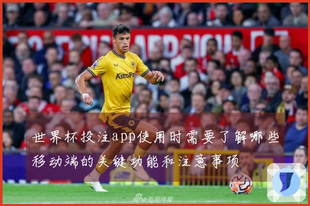 世界杯投注app使用时需要了解哪些移动端的关键功能和注意事项