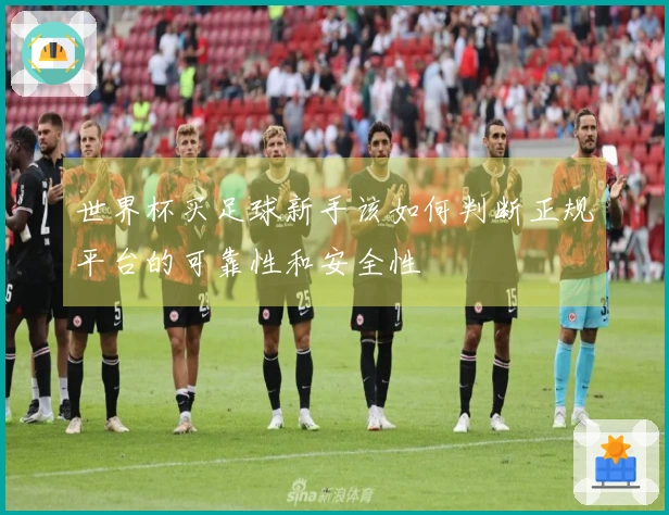 世界杯买足球新手该如何判断正规平台的可靠性和安全性